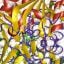 Enzymes