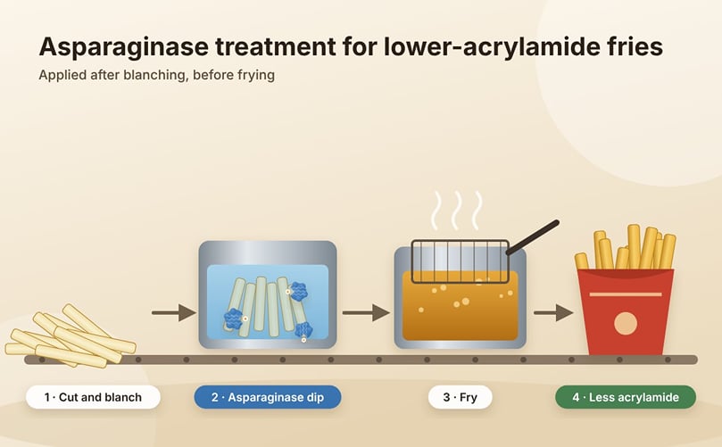 Asparaginase Treatment for Lower-Acrylamide French Fries Asparaginase Treatment for Lower-Acrylamide French Fries