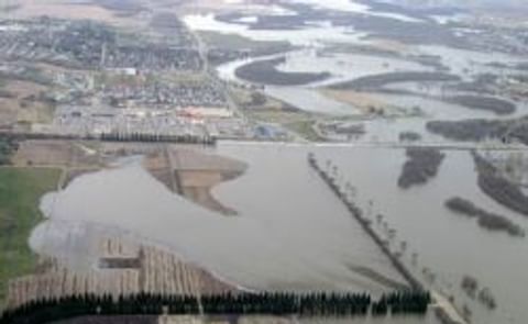 Manitoba's potato crop seen surviving flood Manitoba's potato crop seen surviving flood