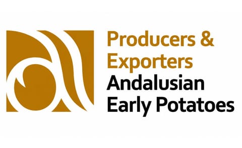 Good season expected for the Andalusian early potato Good season expected for the Andalusian early potato