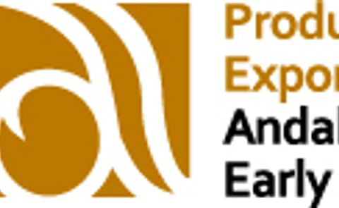 Good season expected for the Andalusian early potato Good season expected for the Andalusian early potato