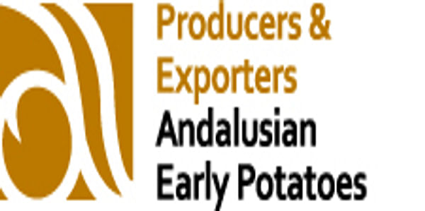  Andalusian early potatoes
