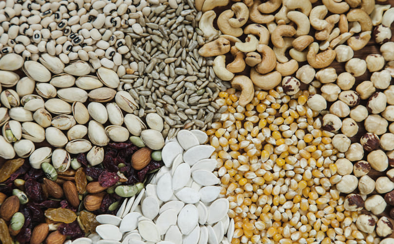Seeds, Nuts and Legumes: Nutrition and Allergen Perspective