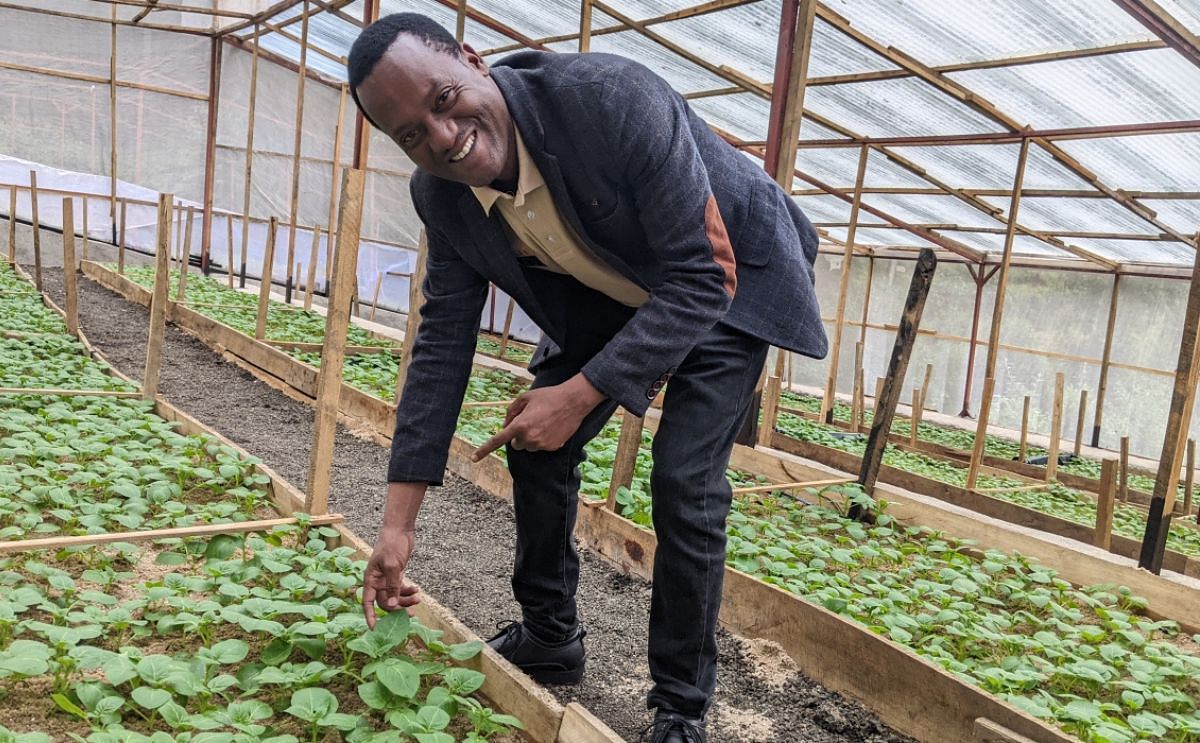 Athanase Nduwumuremyi, Senior Research Fellow and Roots and Tubers Program Coordinator at RAB, during a tour at a greenhouse in Karago Sector, Nyabihu District Athanase Nduwumuremyi, Senior Research Fellow and Roots and Tubers Program Coordinator at RAB, during a tour at a greenhouse in Karago Sector, Nyabihu District