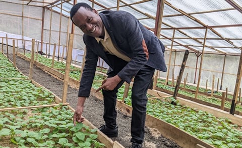 Athanase Nduwumuremyi, Senior Research Fellow and Roots and Tubers Program Coordinator at RAB, during a tour at a greenhouse in Karago Sector, Nyabihu Distric Athanase Nduwumuremyi, Senior Research Fellow and Roots and Tubers Program Coordinator at RAB, during a tour at a greenhouse in Karago Sector, Nyabihu Distric