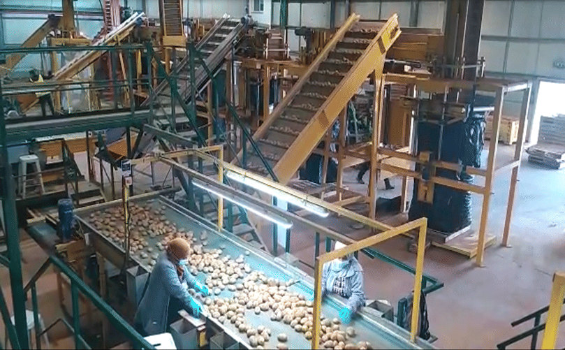 Atzmona's earliest ever produce ready to be shipped Atzmona's earliest ever produce ready to be shipped