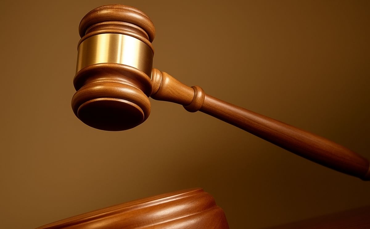 Auction Food Processing Equipment