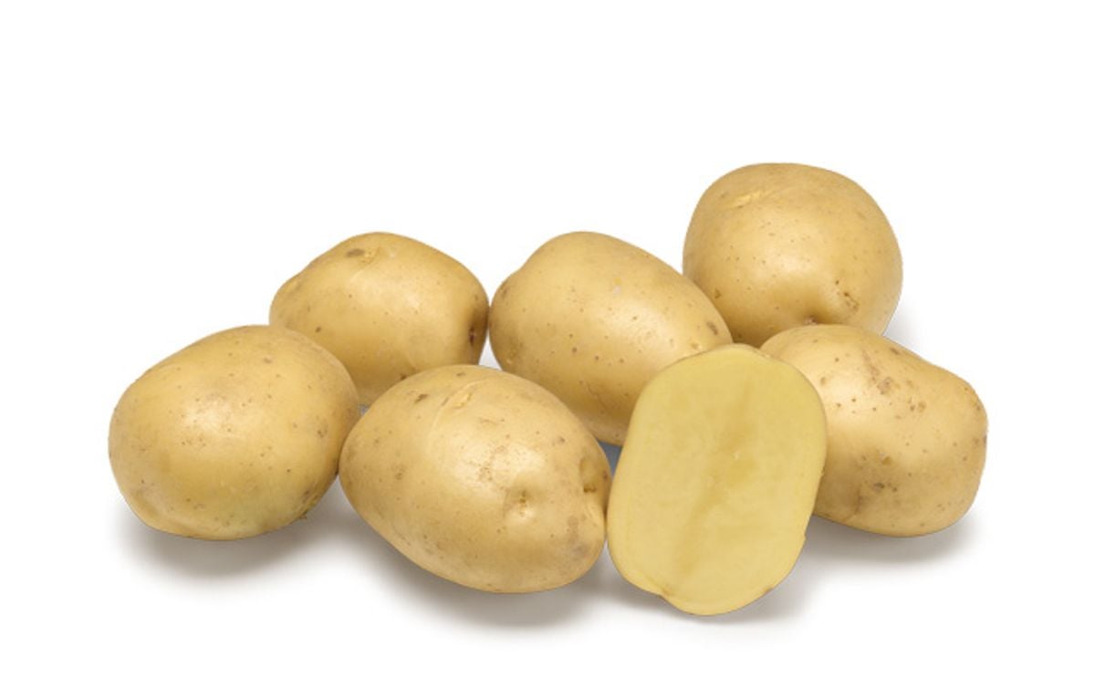 AURIERA AURIERA