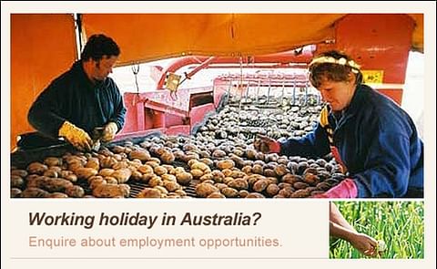 Vietnamese work and holiday deal promising news for Australian growers Vietnamese work and holiday deal promising news for Australian growers