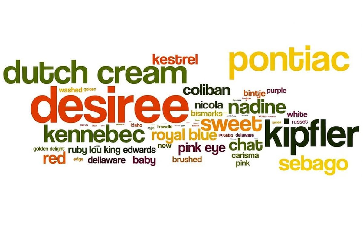 One Third of Aussies can't name a single Potato Variety