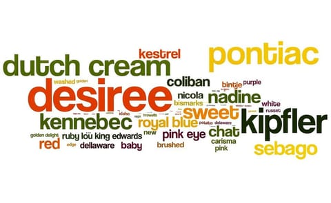 One Third of Aussies can't name a single Potato Variety One Third of Aussies can't name a single Potato Variety