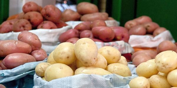 Potato wholesaler penalised