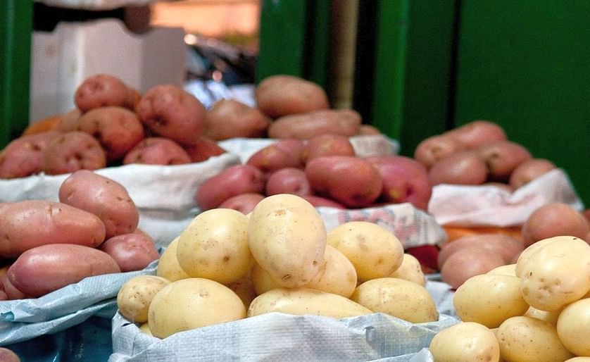 One of Australia’s largest potato wholesalers, Mitolo Group, has been fined for entering into unfair contracts with growers. (Courtesy: Produce Plus)