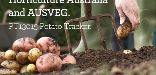 Mashed potatoes most often prepared potato dish in Australia
