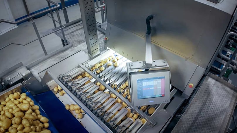Smart grading systems enhance accuracy and help Iberica reduce labor and product waste without halting operations. Smart grading systems enhance accuracy and help Iberica reduce labor and product waste without halting operations.