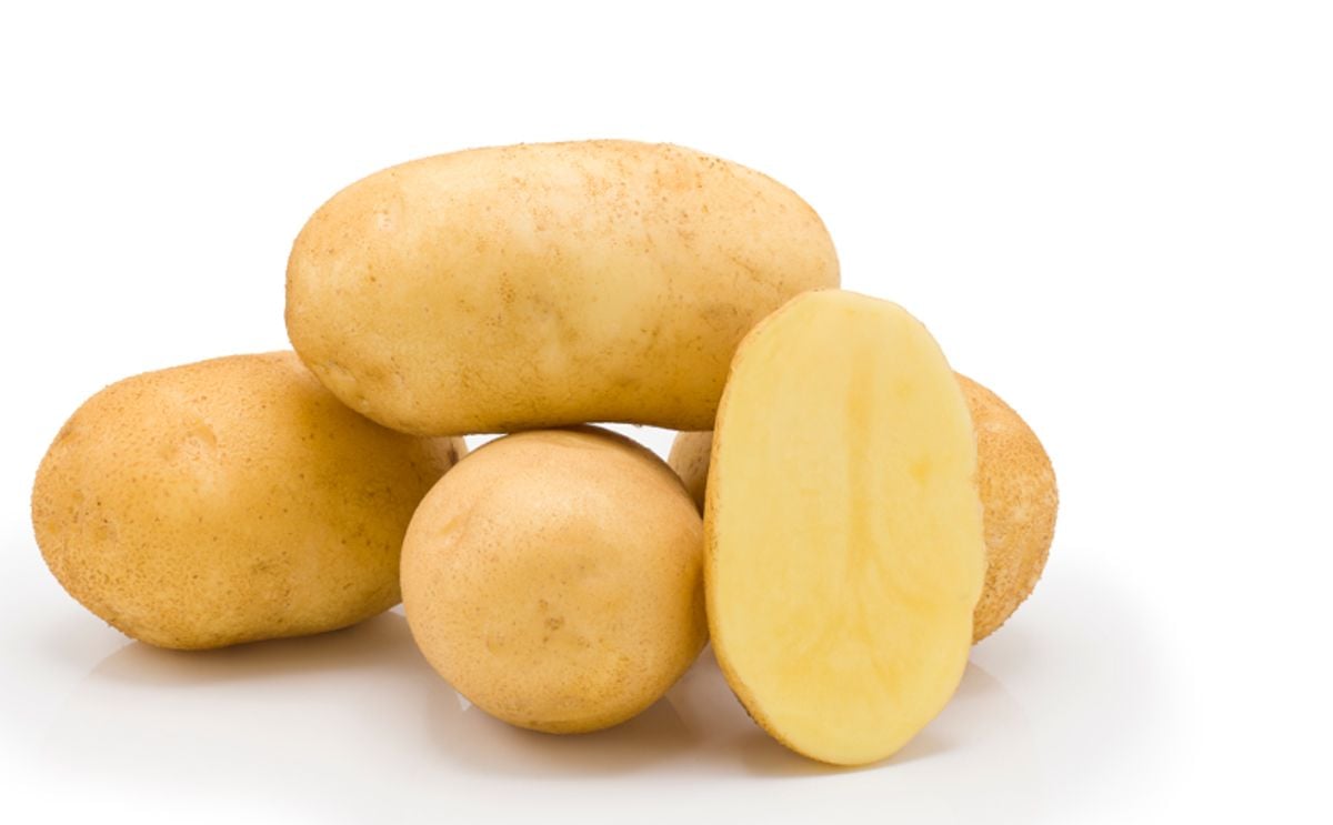 AVANTI AVANTI