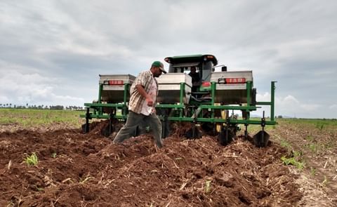 Avanza siembra de papa en la zona norte Avanza siembra de papa en la zona norte