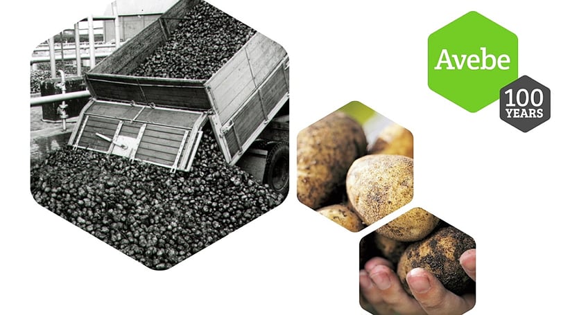Impression of 100 years of potato starch cooperative Avebe! Impression of 100 years of potato starch cooperative Avebe!