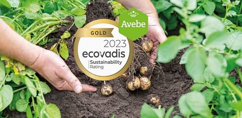 Royal Avebe awarded with a Gold medal for Sustainability efforts
