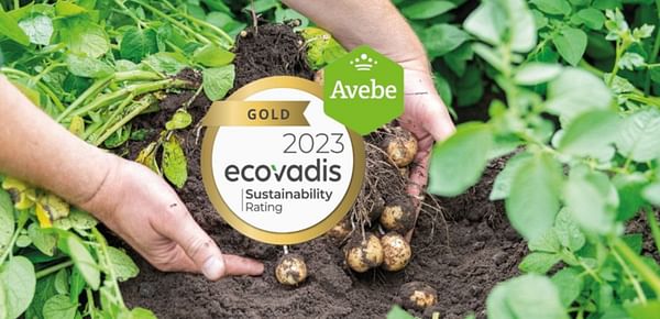 Royal Avebe awarded with a Gold medal for Sustainability efforts