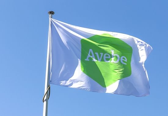 Avebe's new logo