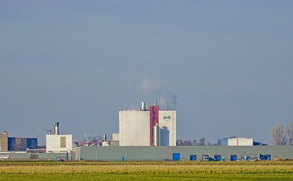 Potato Starch Manufacturer Avebe scrambles to produce enough Potato Protein Potato Starch Manufacturer Avebe scrambles to produce enough Potato Protein