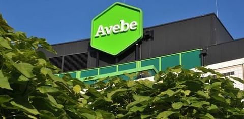 Potato Starch company Avebe achieved record performance price for season 2017/2018