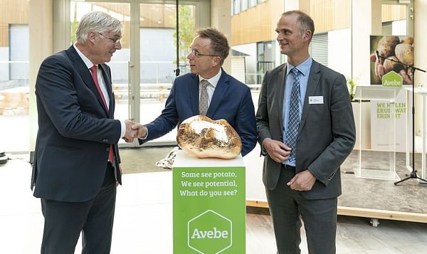 New Innovation Centre Avebe to combine knowledge and stimulate cooperation