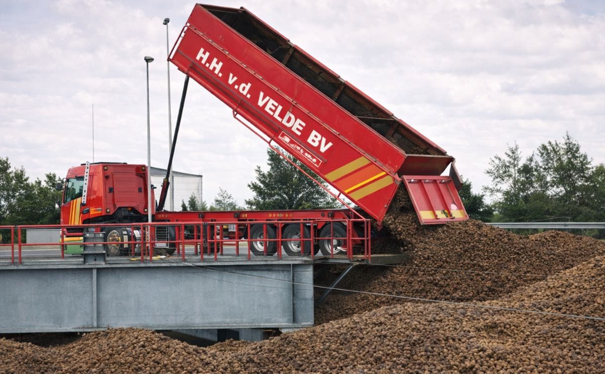 Avebe potato starch campaign Avebe potato starch campaign