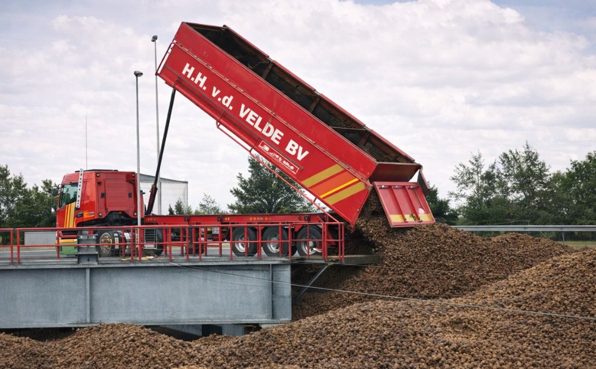 Potato Starch Manufacturer Avebe: Campaign going well