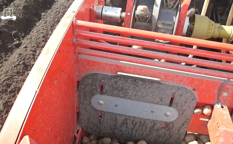 Veerkracht in de Veenkoloniën: aardappeltelers Avebe