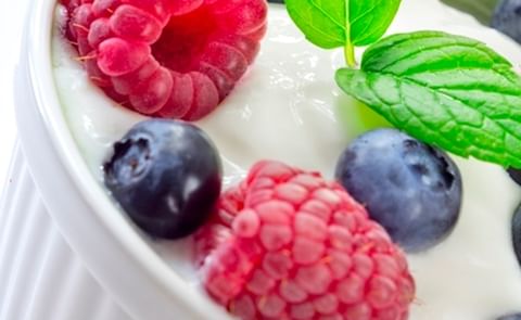 Distribution Agreement AVEBE and Ingredion Terminated Distribution Agreement AVEBE and Ingredion Terminated