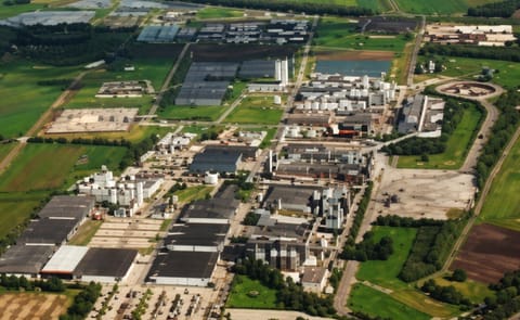 Starch manufacturer AVEBE has good financial year without EU subsidies Starch manufacturer AVEBE has good financial year without EU subsidies