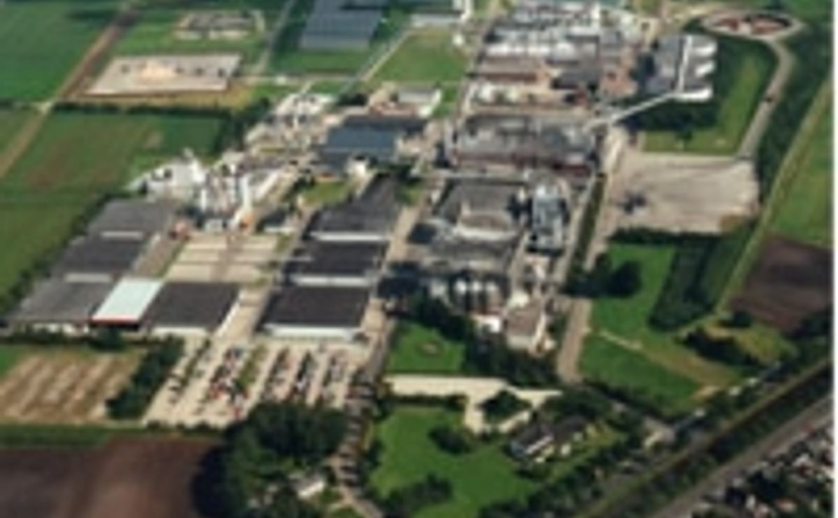 AVEBE Ter Apelkanaal potato starch factory AVEBE Ter Apelkanaal potato starch factory