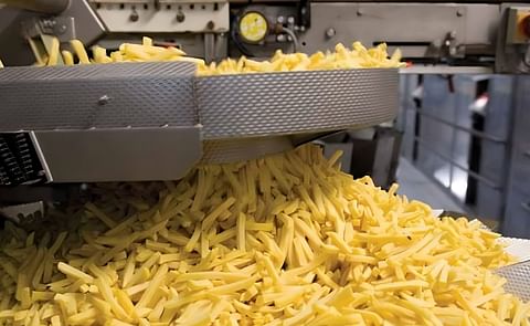 The production of french fries at Aviko The production of french fries at Aviko