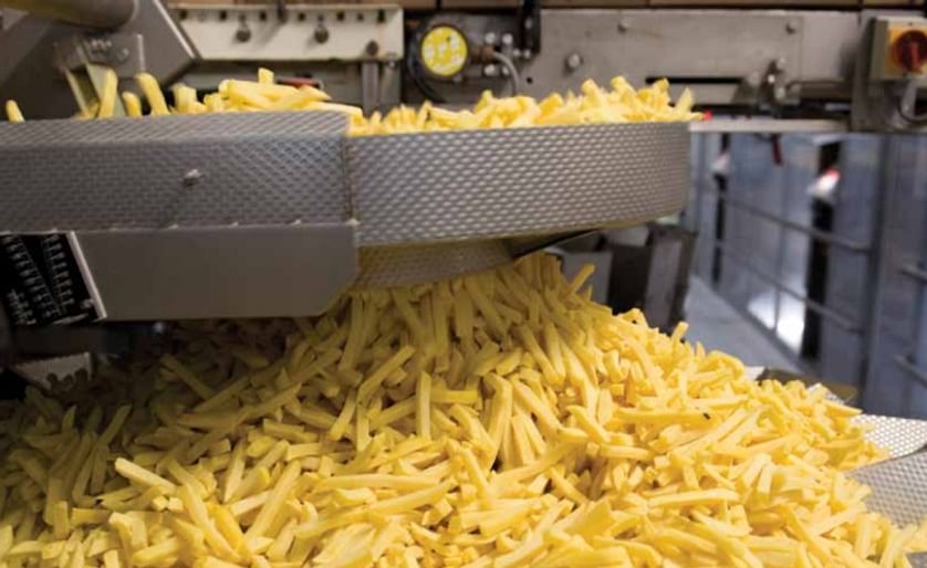 The production of french fries at Aviko