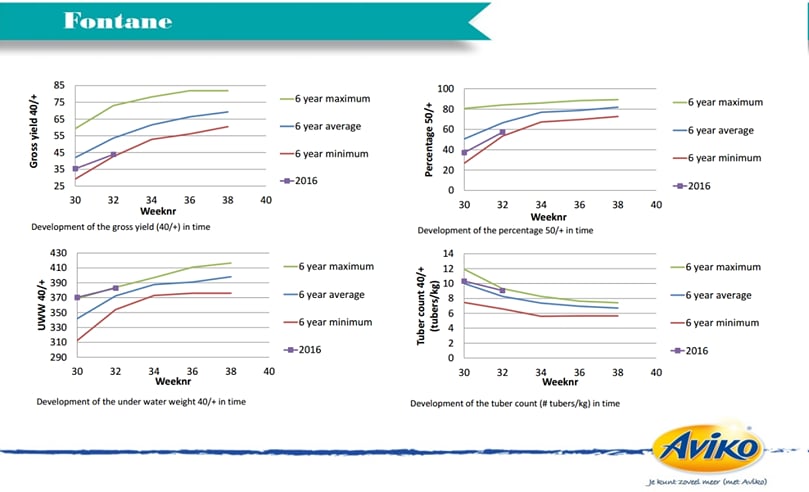 2016 Crop Progress for the potato variety Fontane in The Netherlands