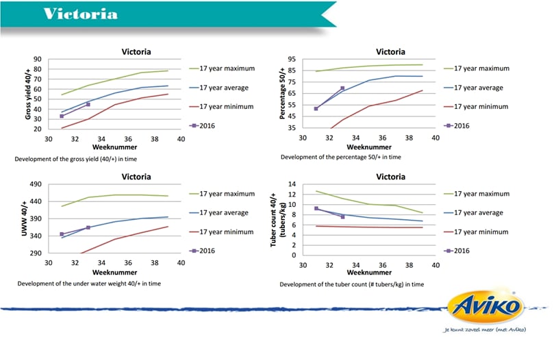 2016 Crop Progress for the potato variety Victoria in The Netherlands