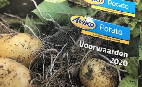 Aviko Potato gaat meer betalen voor lang bewaren Aviko Potato gaat meer betalen voor lang bewaren
