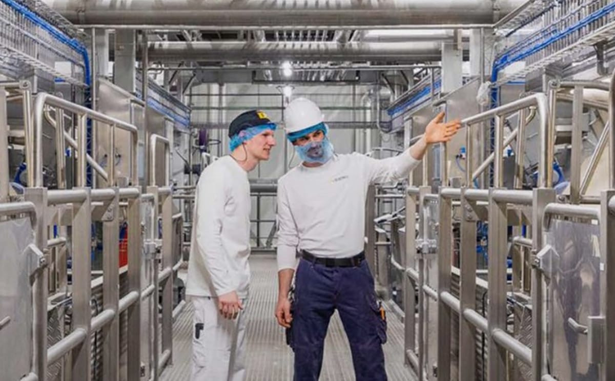 Advancing sustainable production through electrification and innovation at Aviko facilities, as highlighted in the 2025 Sustainability Report.