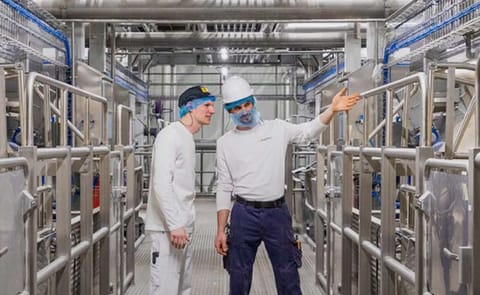 Advancing sustainable production through electrification and innovation at Aviko facilities, as highlighted in the 2025 Sustainability Report. Advancing sustainable production through electrification and innovation at Aviko facilities, as highlighted in the 2025 Sustainability Report.