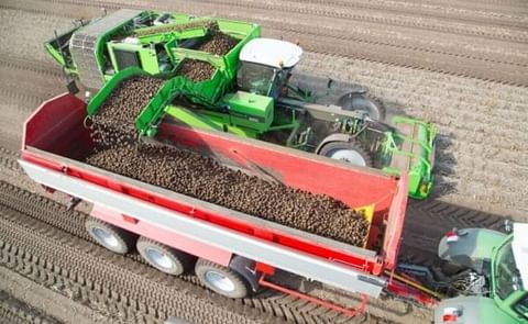 AVR introduces PumaDewulf: 20th potato harvester of the season delivered to Geert Vansteelant 3, its new and efficient four-row potato harvester AVR introduces PumaDewulf: 20th potato harvester of the season delivered to Geert Vansteelant 3, its new and efficient four-row potato harvester