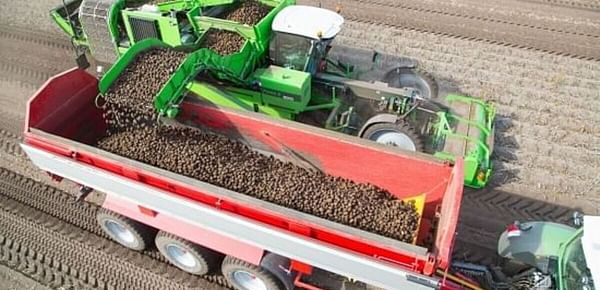 AVR introduces Puma 3, its new and efficient four-row potato harvester