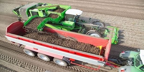 AVR introduces Puma 3, its new and efficient four-row potato harvester