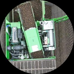Digital Size Measurement on potato harvester