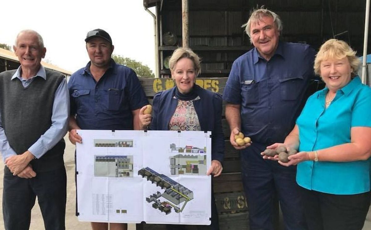 All Australian markets reopened for WA seed and ware potatoes as surveillance shows potato psyllids not infected All Australian markets reopened for WA seed and ware potatoes as surveillance shows potato psyllids not infected