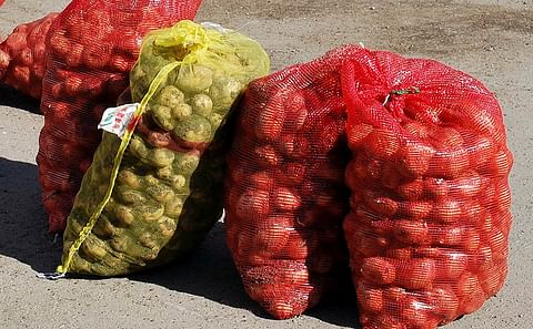 Azerbaijan is Russia's second largest potato supplier Azerbaijan is Russia's second largest potato supplier