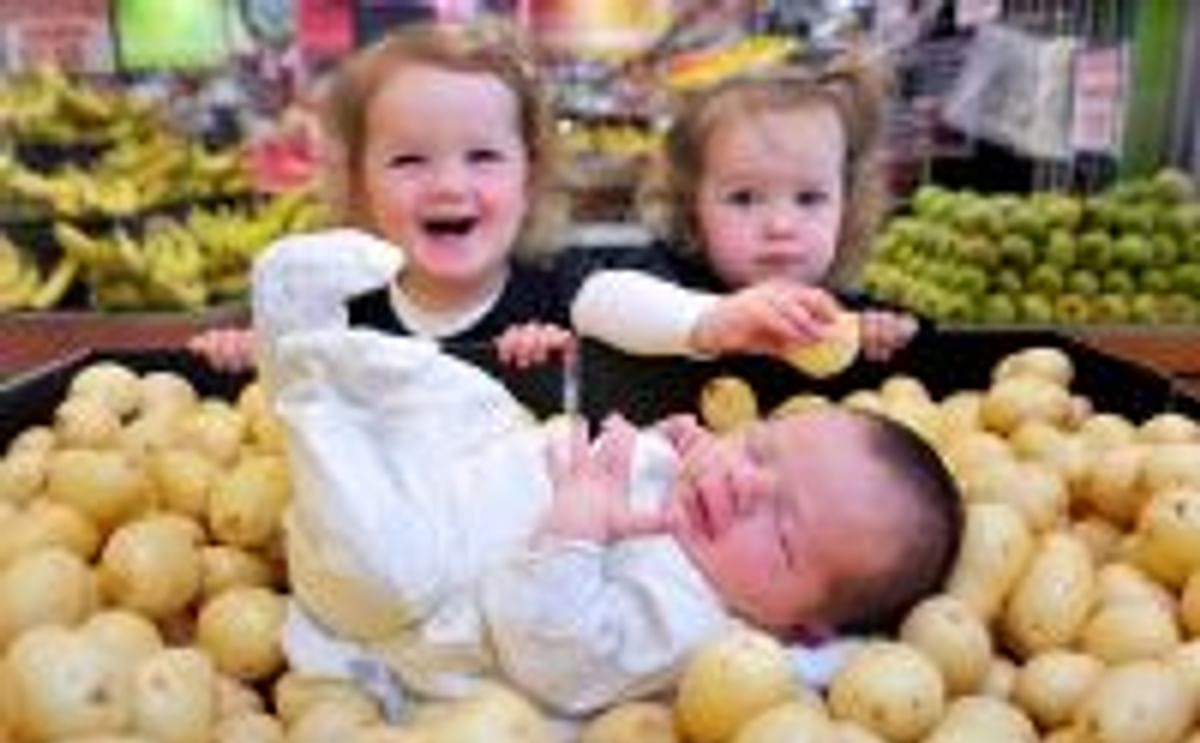 Harvest time for 'baby potatoes' in South Australia