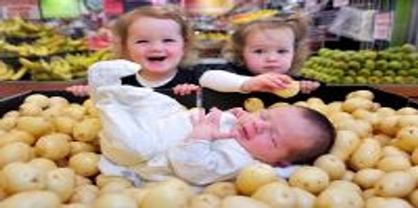  Baby potatoes South Australia