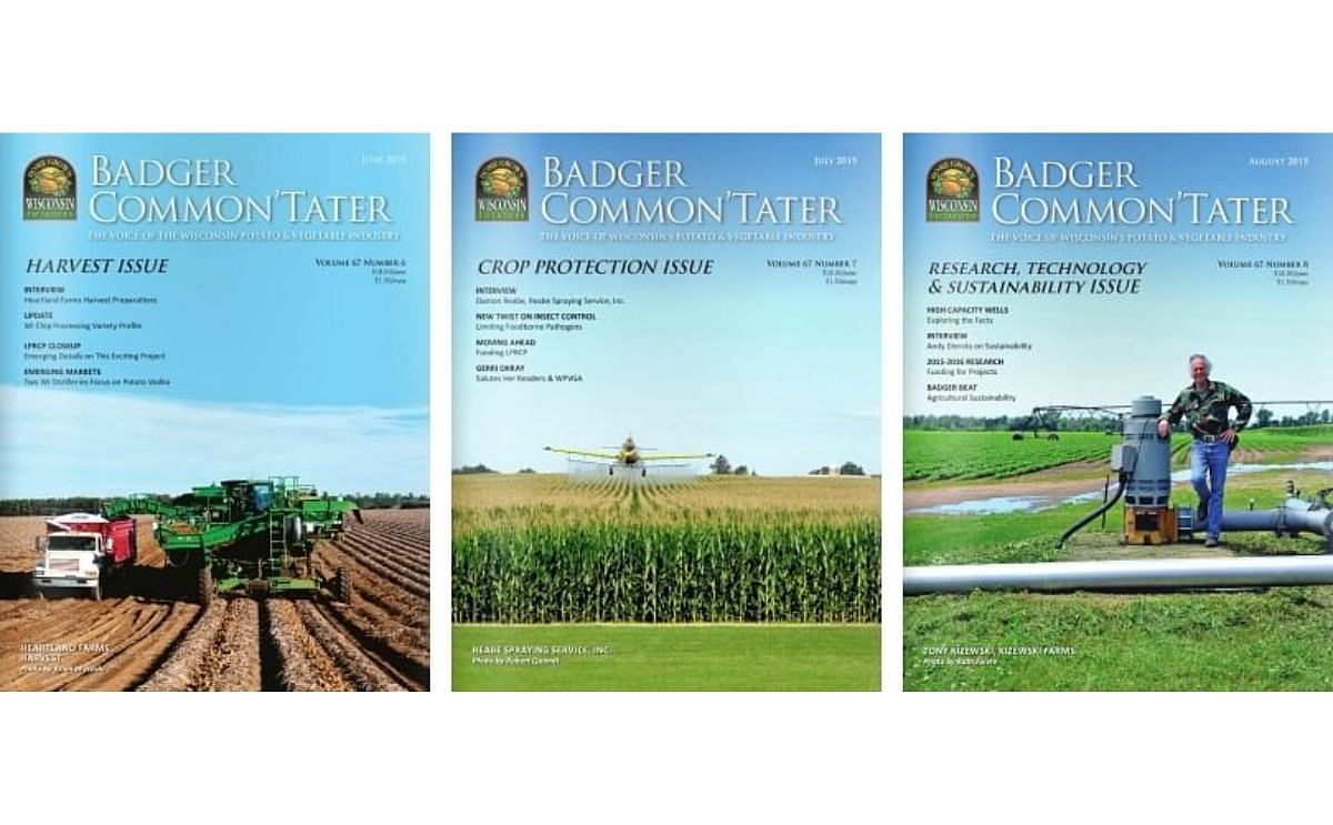 Wisconsin Badger CommonTater now available online Wisconsin Badger CommonTater now available online